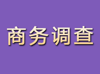 泗洪商务调查